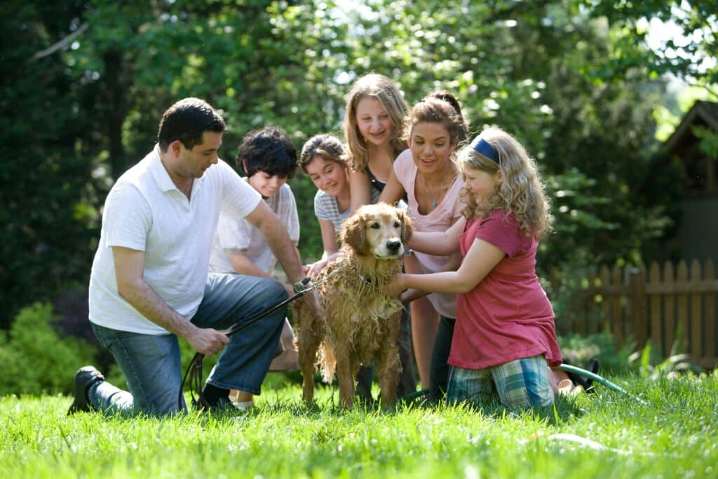 Kindvriendelijke Hondenrassen: De top 10
