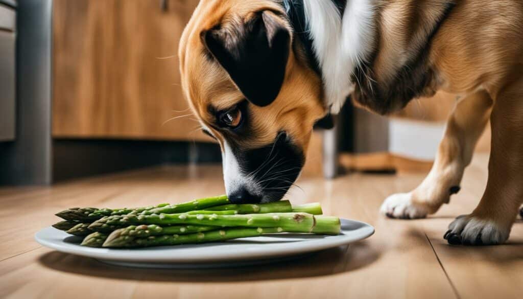 hond voeding asperge