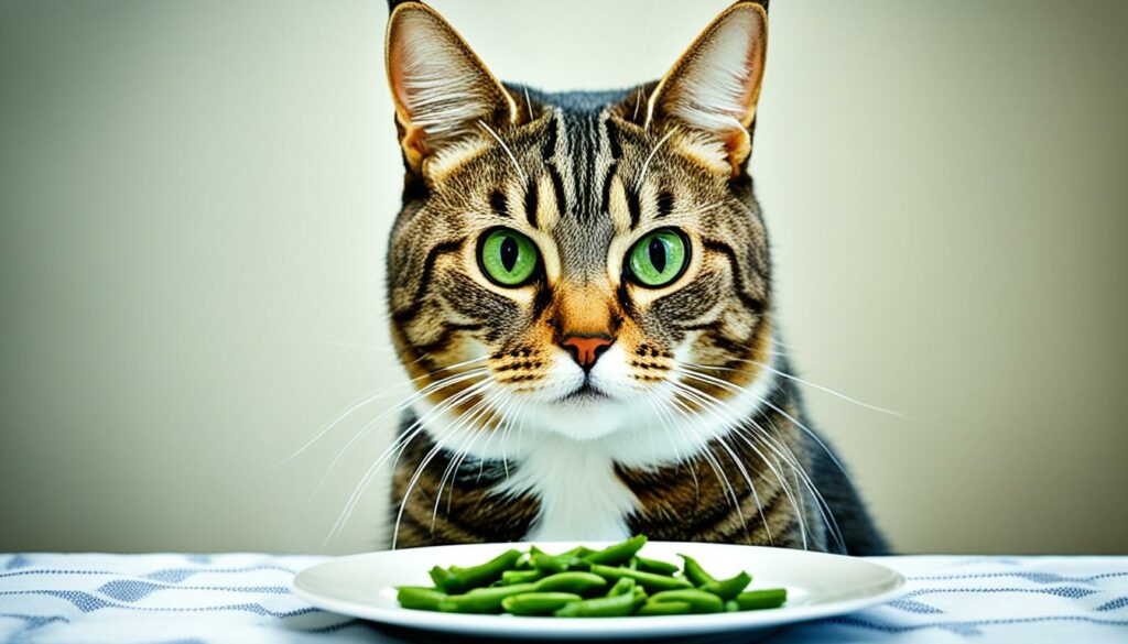 mogen katten sperziebonen eten